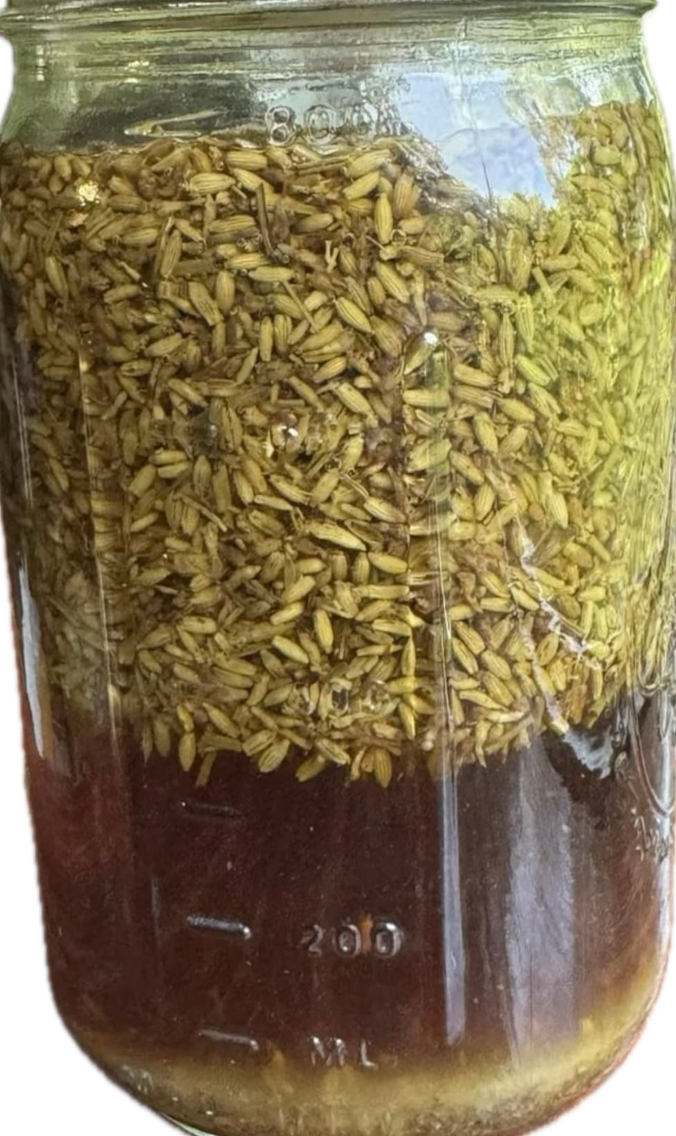 Nervous System Wellness Tincture