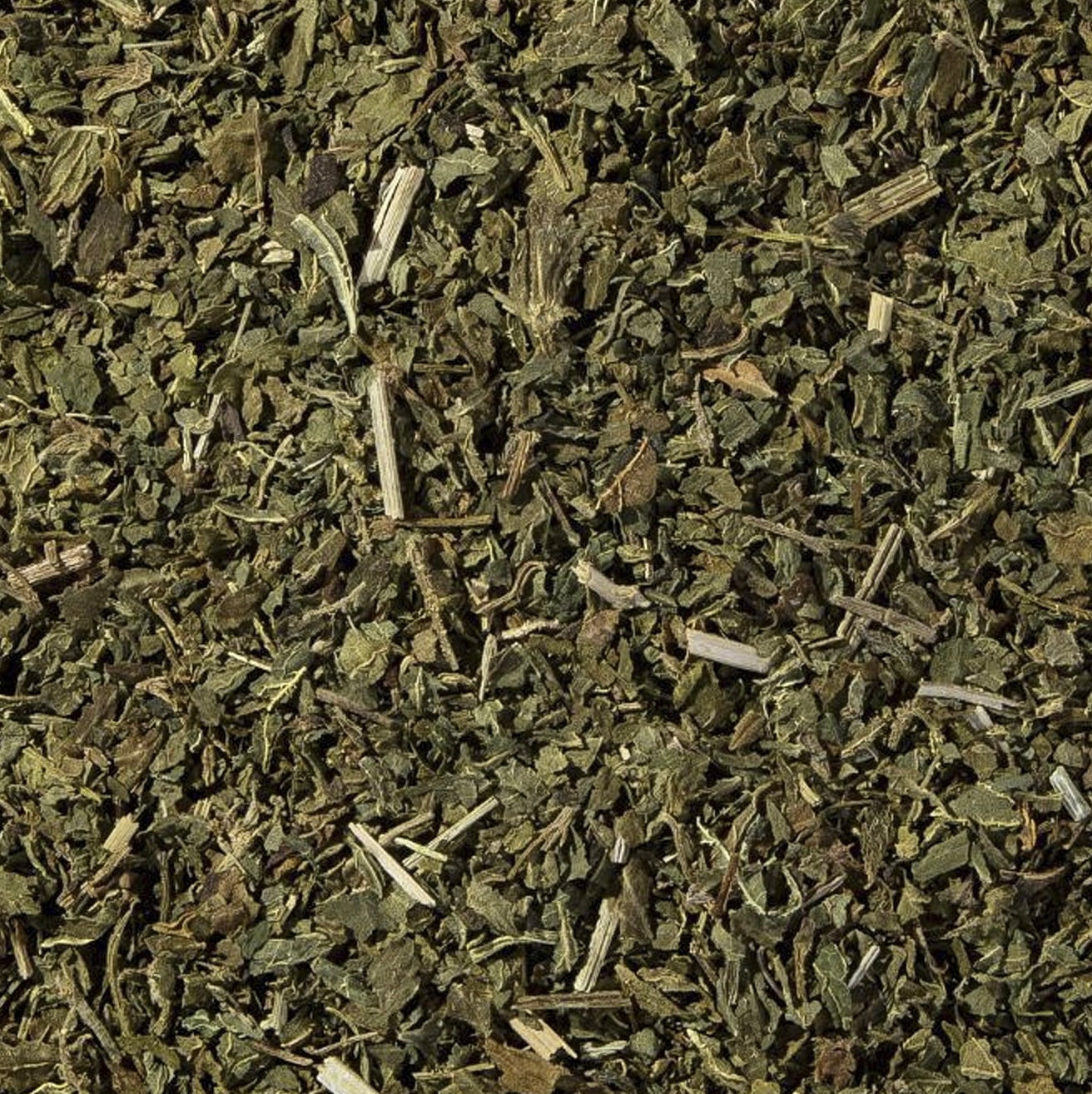Blue Vervain