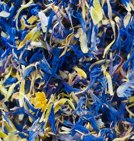 Cornflower