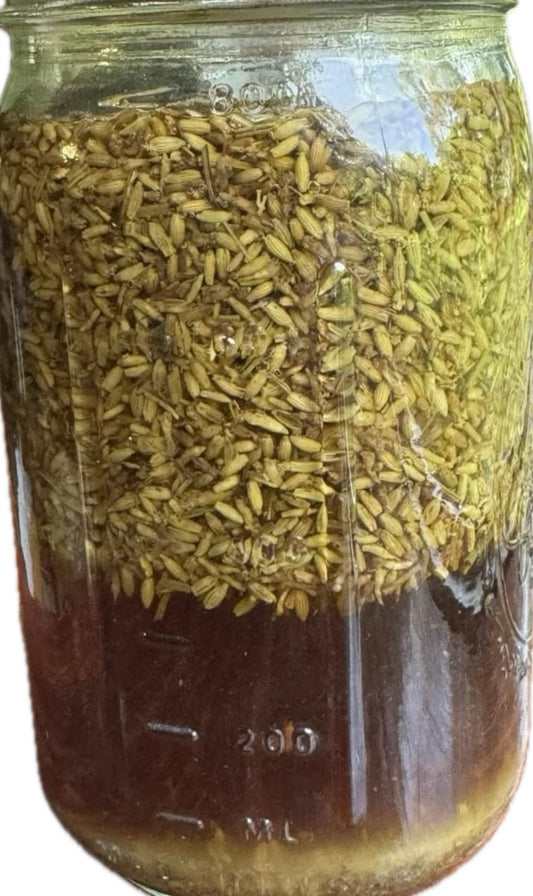 Nervous System Wellness Tincture