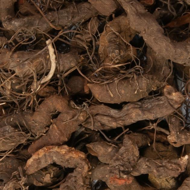 Bloodroot