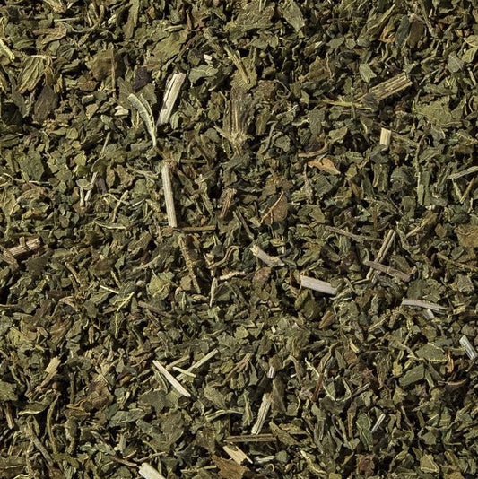 Blue Vervain