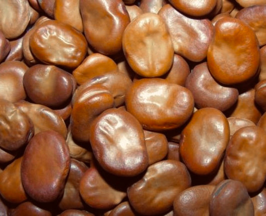 African Wishing Beans
