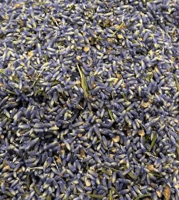 Lavender Buds