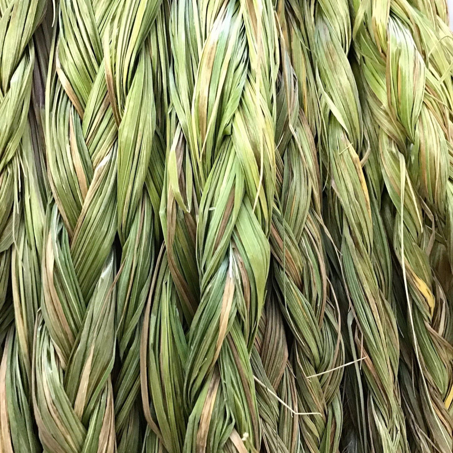 Sweetgrass