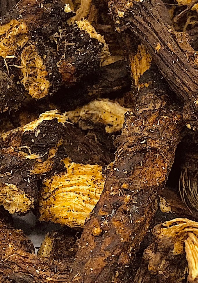 Osha Root