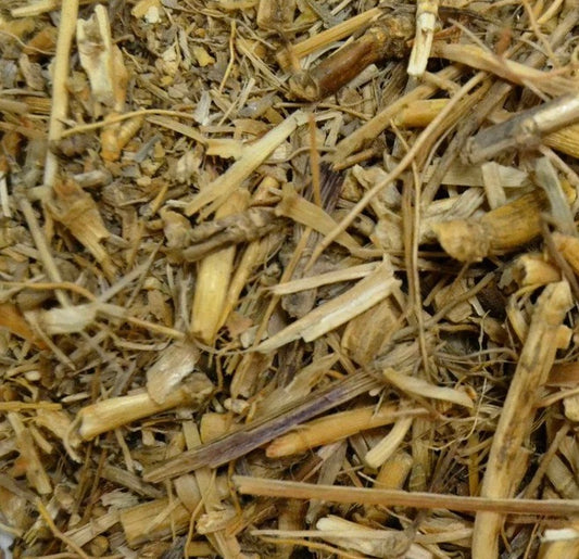 Dog Grass