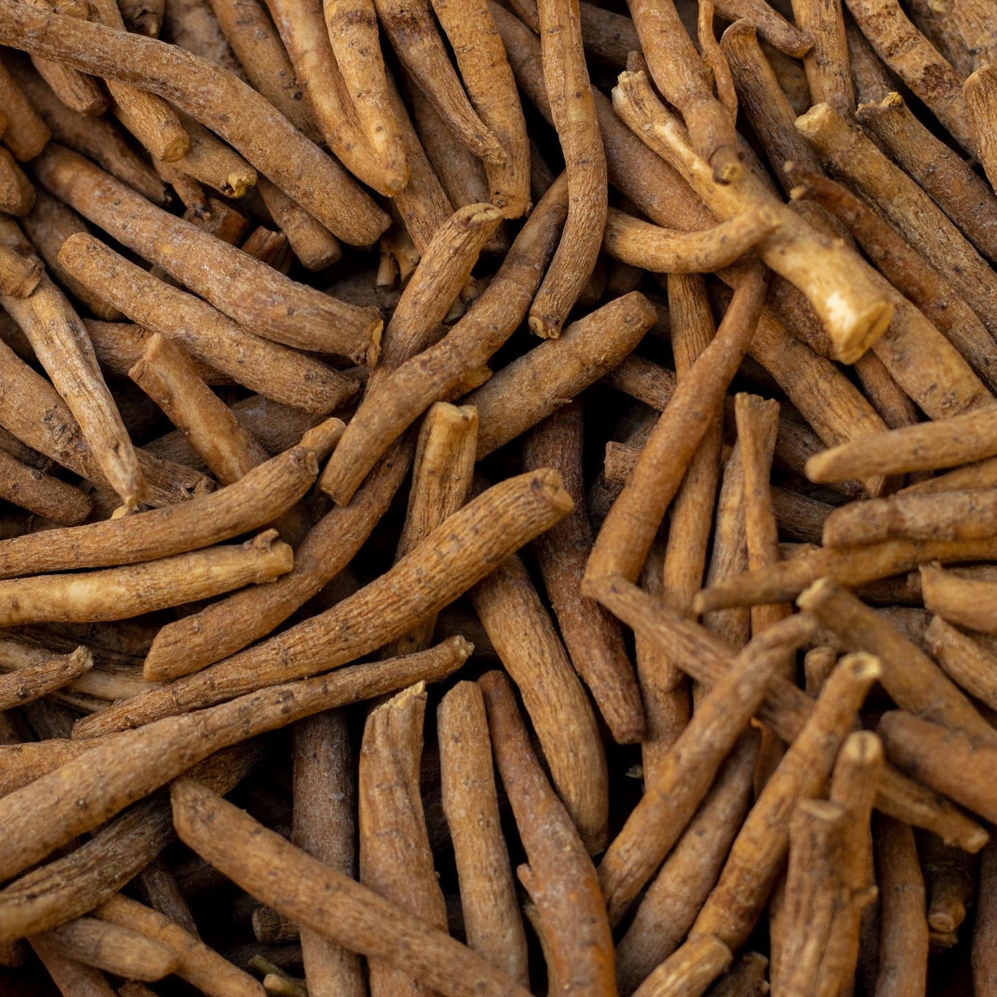 Ashwaganda Root