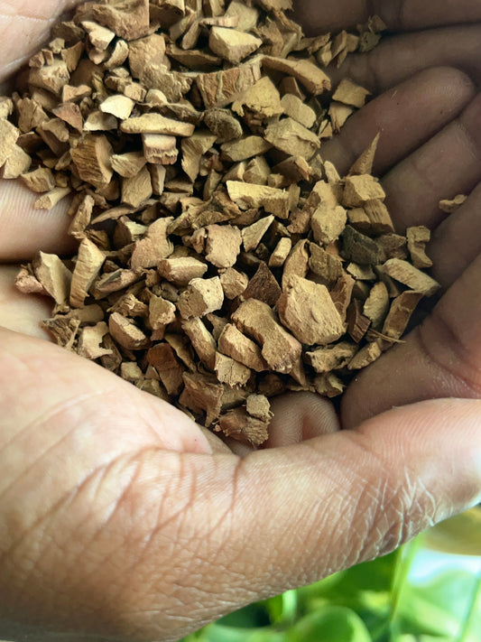 Galanga Root