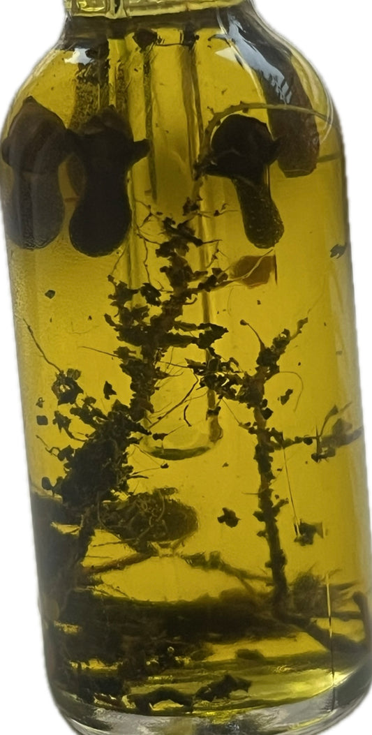 Court Case Oil